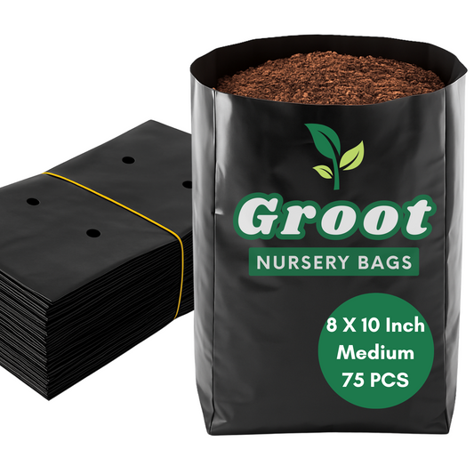 Medium 8 × 10 Inch Plastic Nursery Bags for Plants | UV Protected | Groot